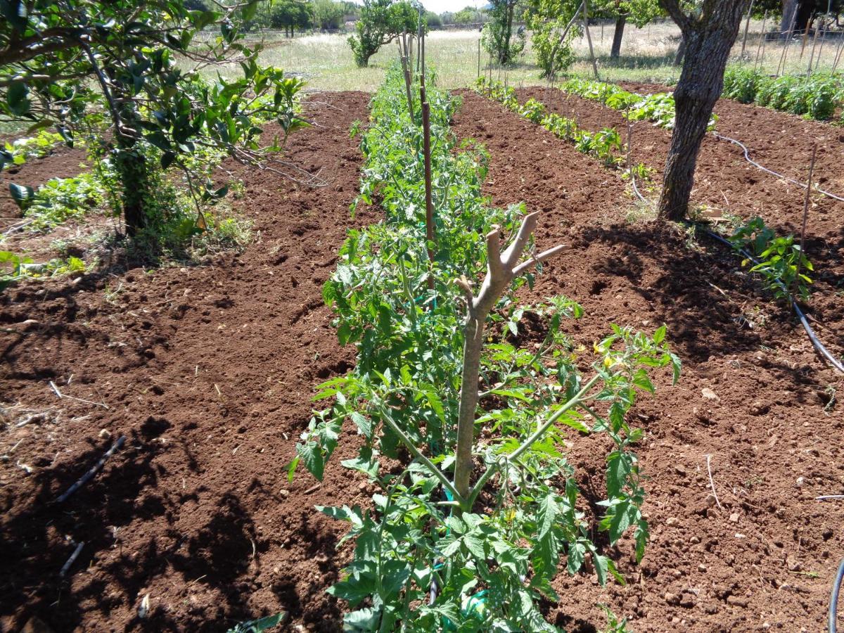 Agroturismo Na Set Centes - Adults Only Artá Eksteriør bilde